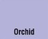 Orchid