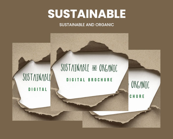 BTC Unbranded Sustainable Catalogue
